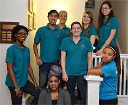 Diversity Team Diversity Team