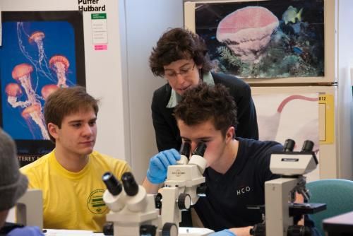 female professor jodi yorty helping two male students with microscopes pictures of sea life behind 