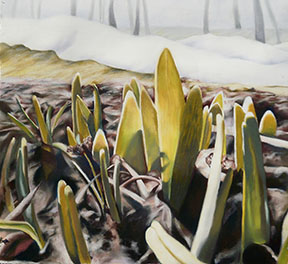 ross hyacinths