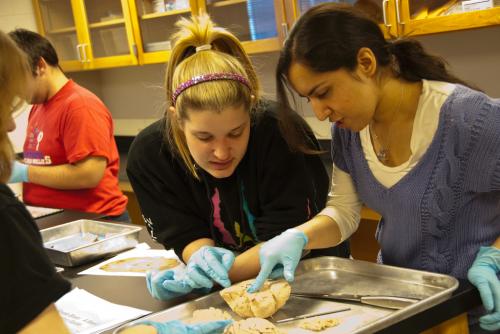 two female students dissecting brain in lab