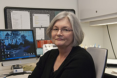 sue sterling