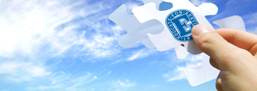 E Logo Puzzle 
