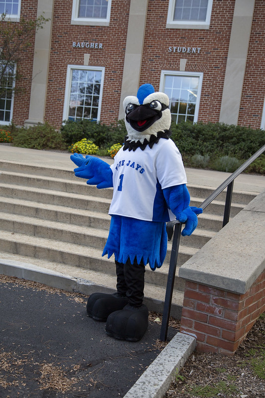 Blue Jay Mascot