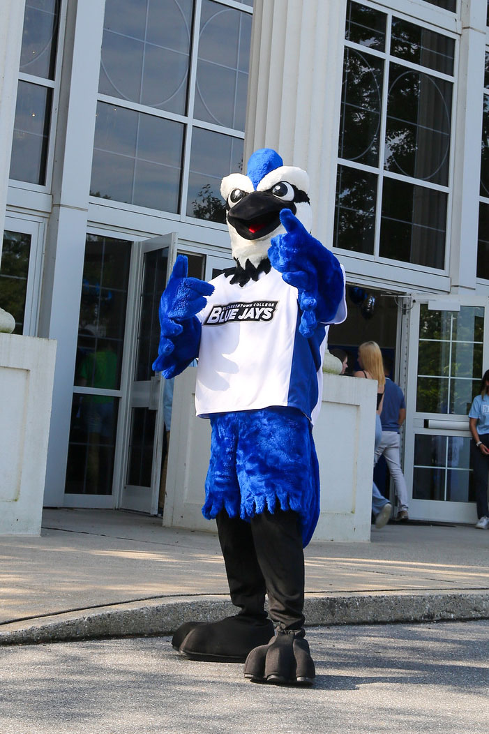 Blue Jay Mascot