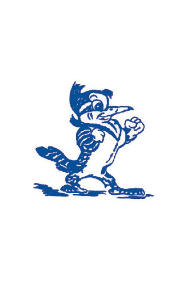 Blue Jay Logo