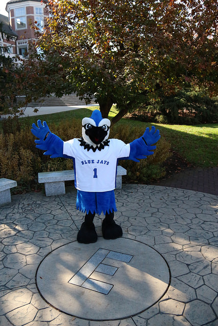 Blue Jay Orientation