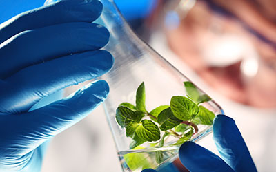 Environmental Science