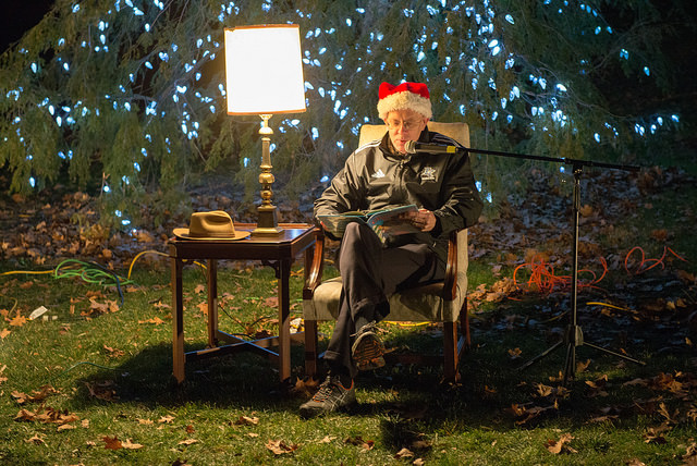 tree-lighting