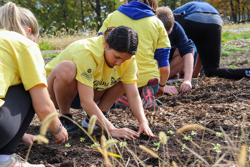 students working in the ground