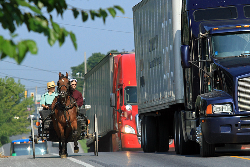 Horse and buggy and trucks on a busy road