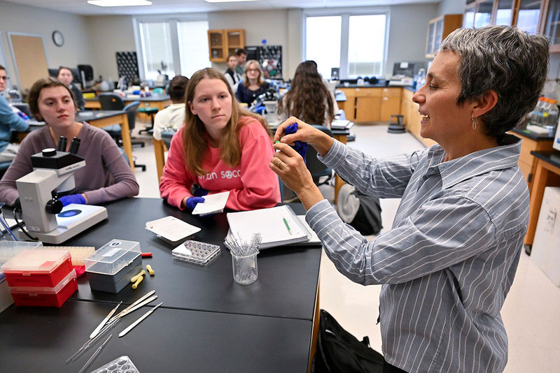 students working in lab