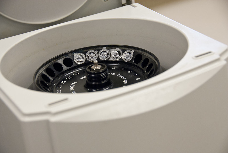 Biotechnology | Elizabethtown College