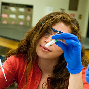 Environmental Science Field Work