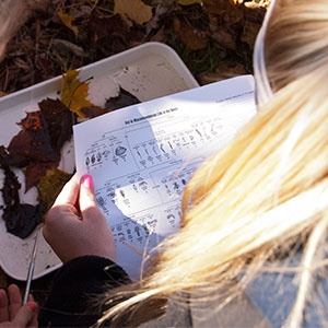 Environmental Science Field Work