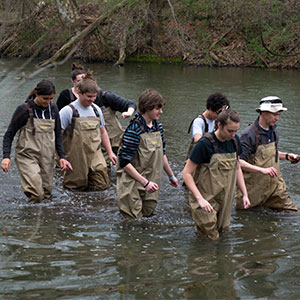 Environmental Science Field Work