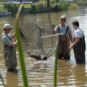 Turtle Lab