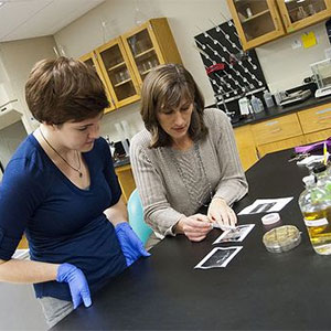 Dr. Jane Cavender