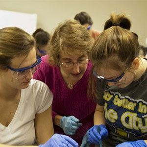 Dr. Deb Wohl