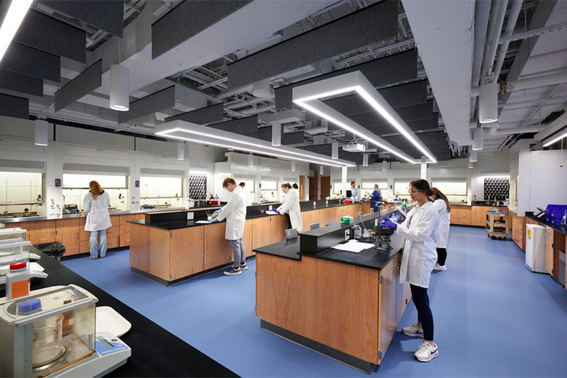Biochemistry and Molecular Biology - Image 3