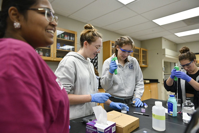 students working in lab