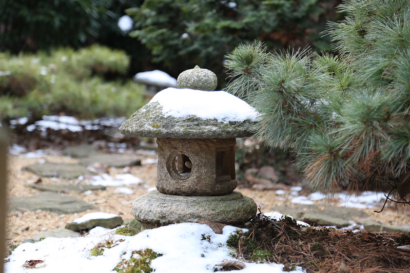 japanese garden