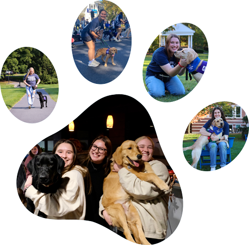 Paw print photo collage