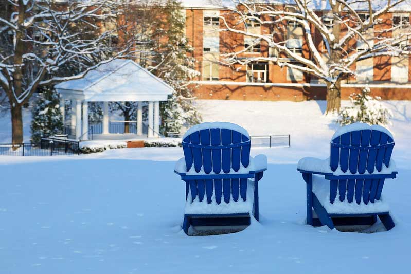 the dell in the winter