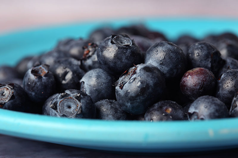 Blueberries