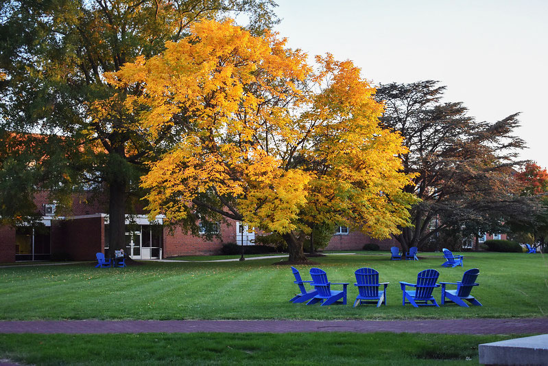 academic quad