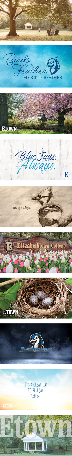 Etown Wallpapers Etown Wallpapers