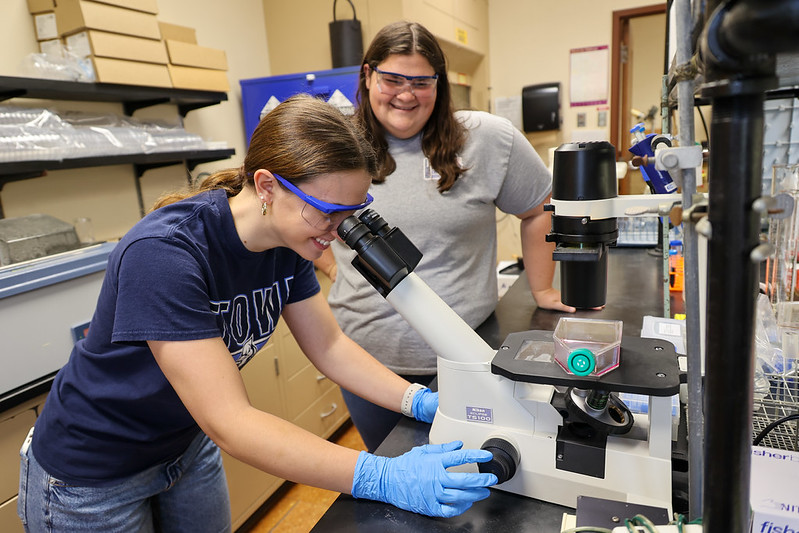 Inclusive Playground