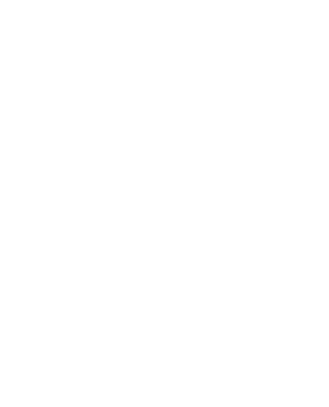 bird logo