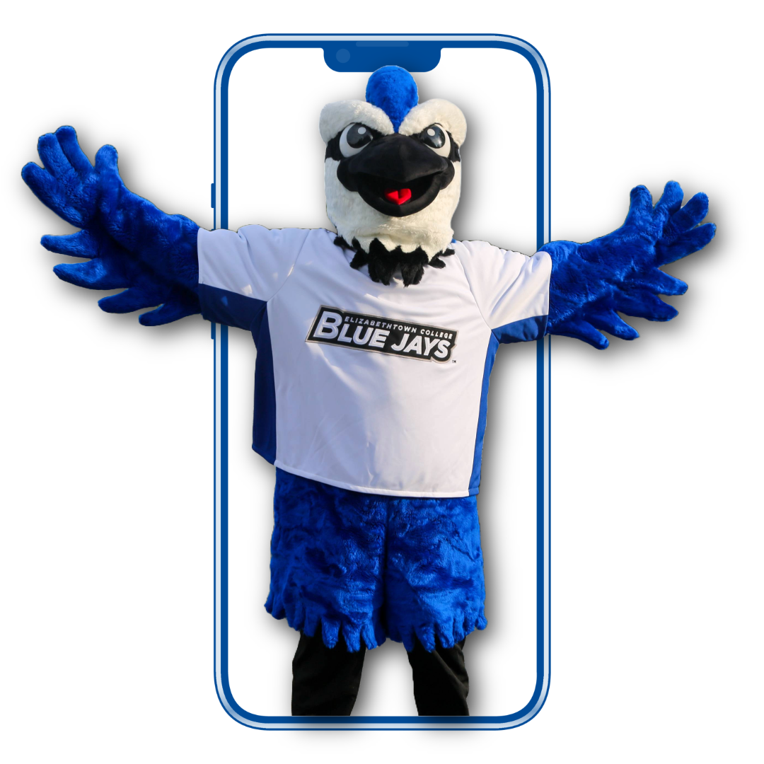 blue-jay and cell phone