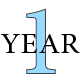 1 Year Option
