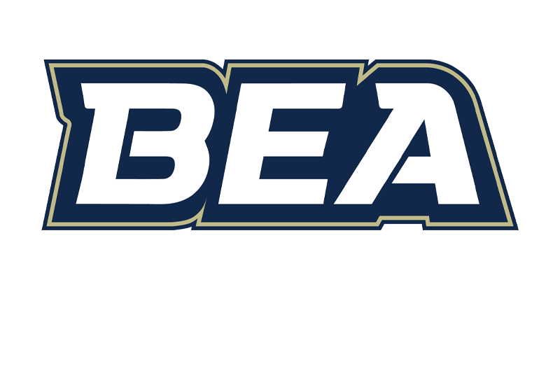 Bald Eagle Area School District Logo