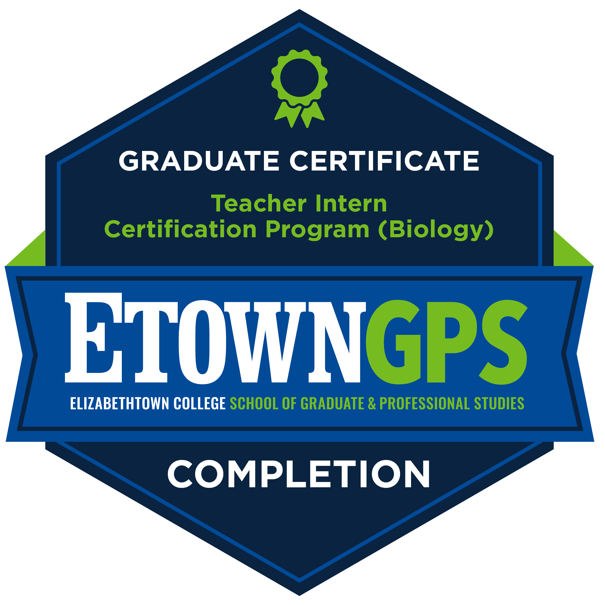 Credly badge: Teacher Intern